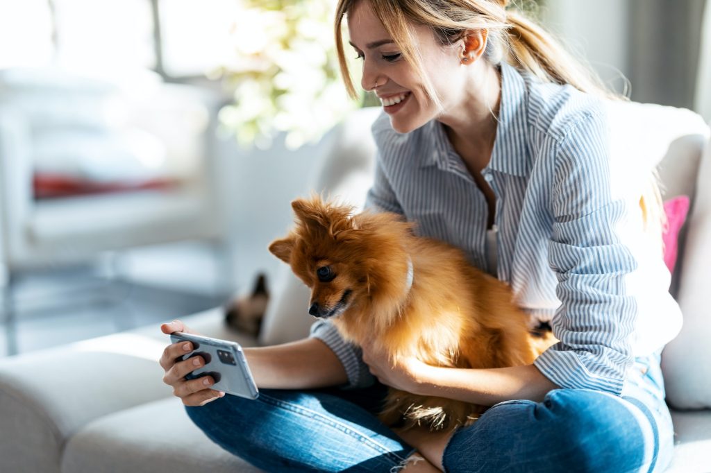 Pretty woman with her cute dog using mobile phone while sitting on couch in living room at home.